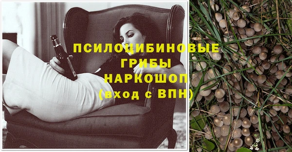 ешки Каменка