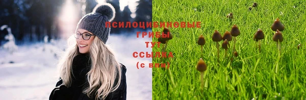 марихуана Каменск-Шахтинский